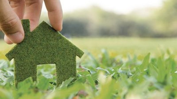Développement durable : notre responsabilité