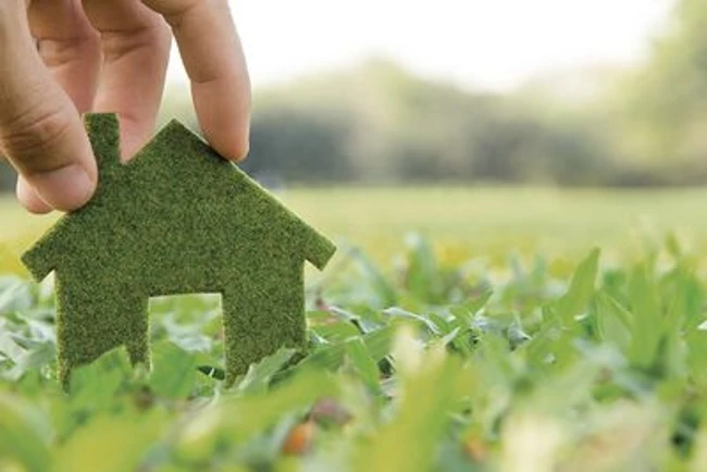 Développement durable : notre responsabilité